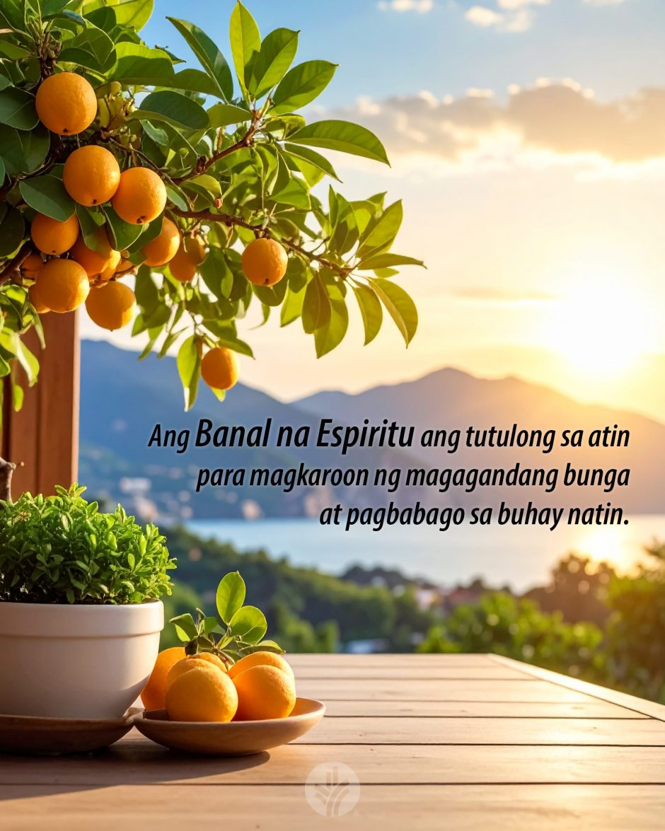 ODB Shareable Image 2025-07-22
