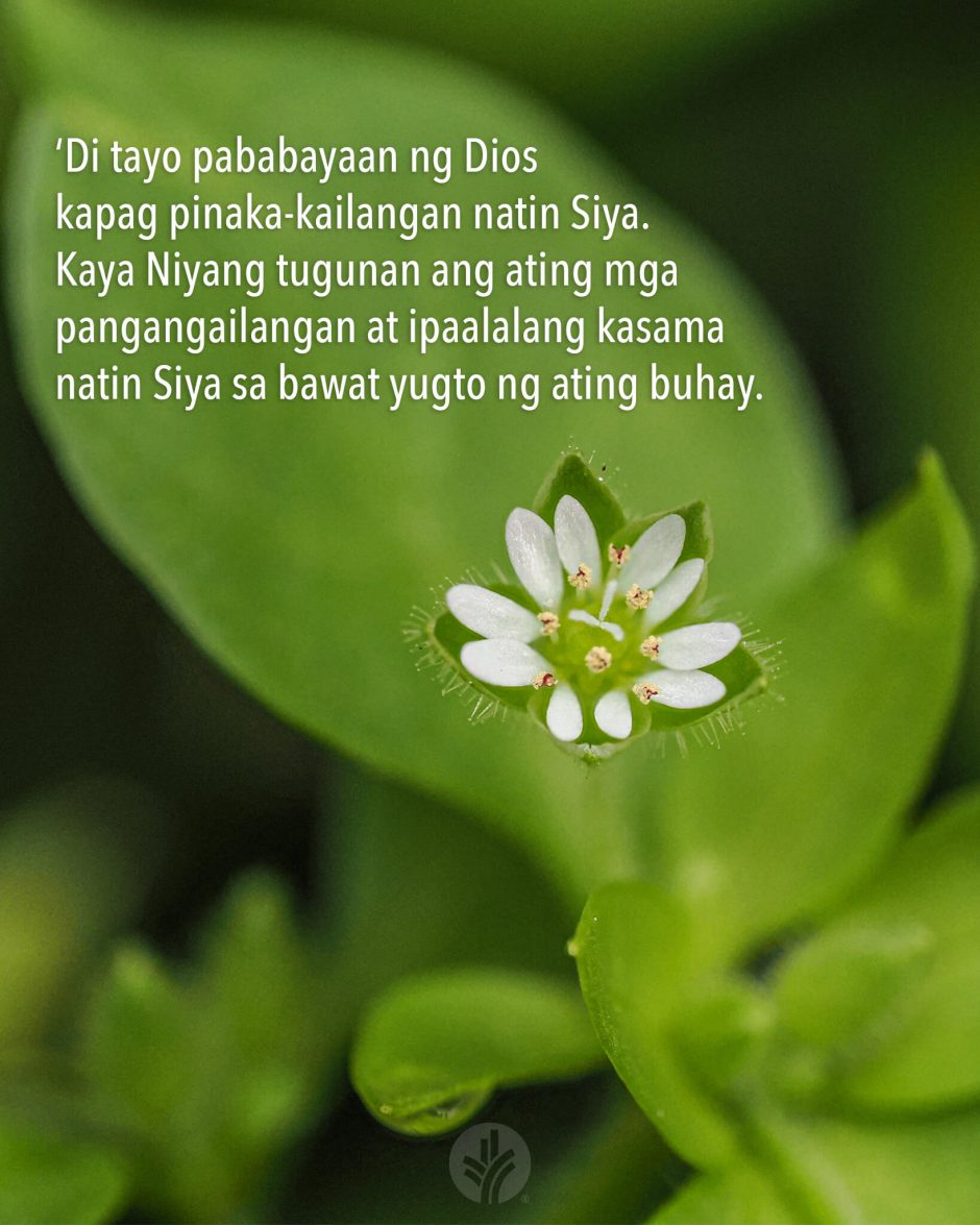 ODB Shareable Image 2025-08-10