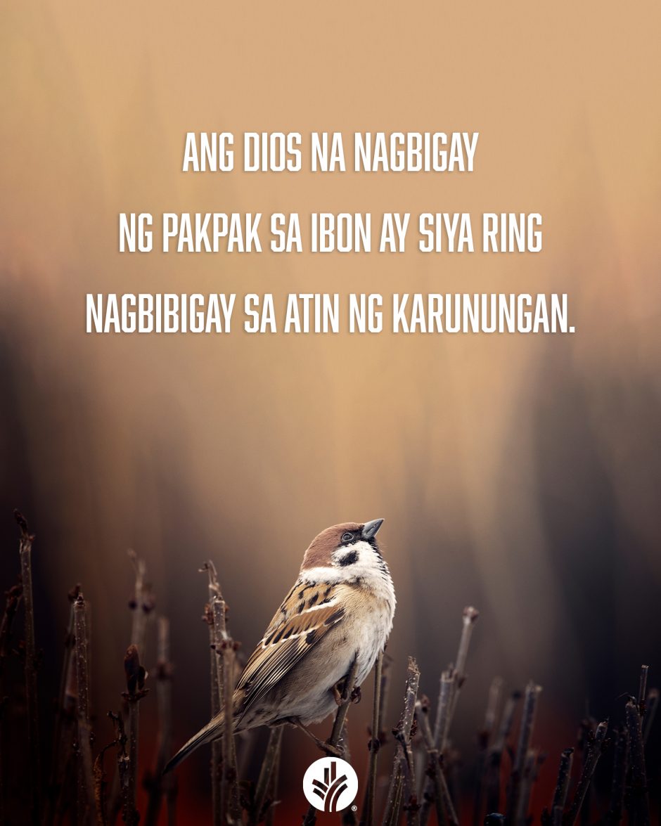 ODB Shareable Image 2025-10-02