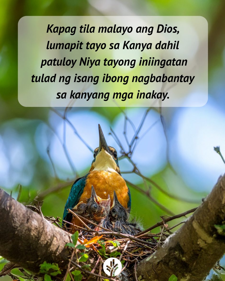 ODB Shareable Image 2025-10-31 ODB Shareable Image 2025-10-31