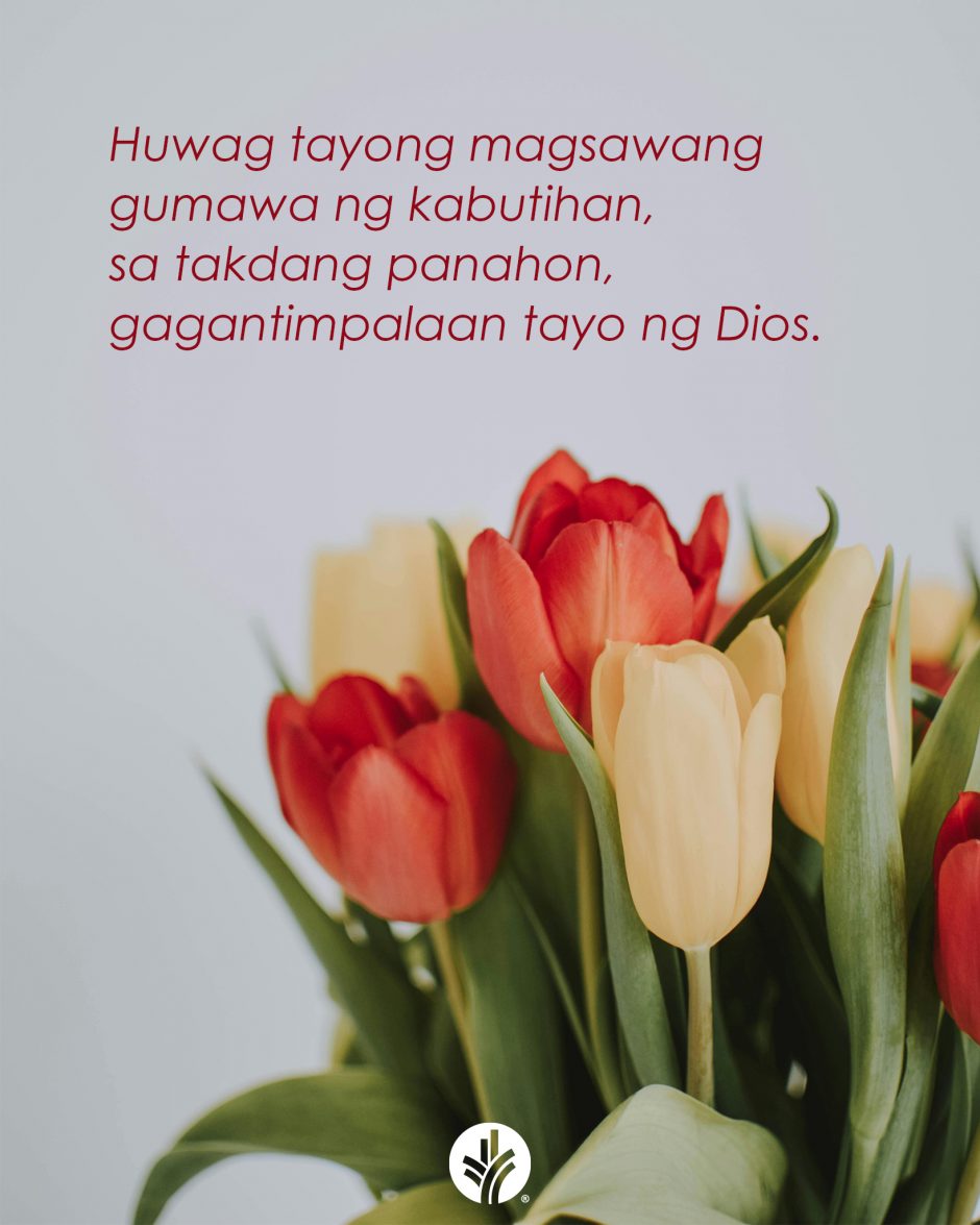 ODB Shareable Image 2025-11-06