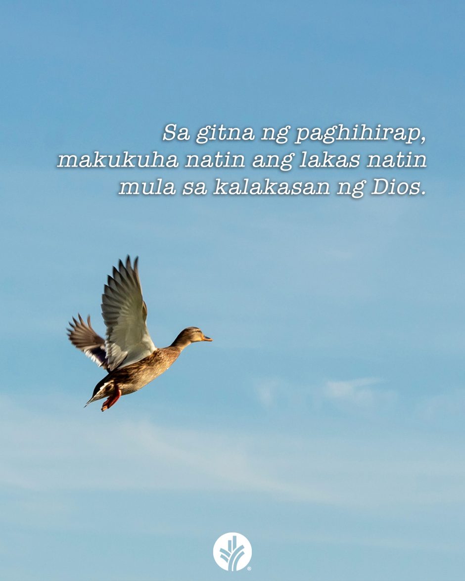 ODB Shareable Image 2025-11-19