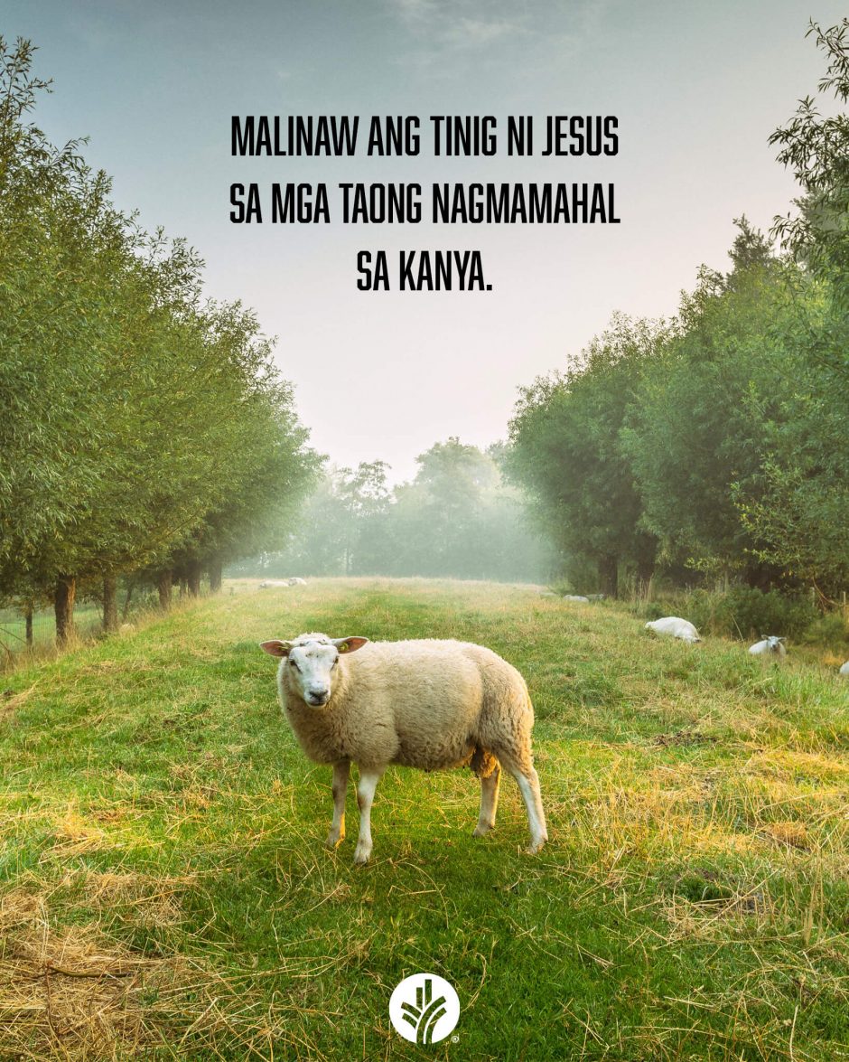 ODB Shareable Image 2025-11-08 ODB Shareable Image 2025-11-08