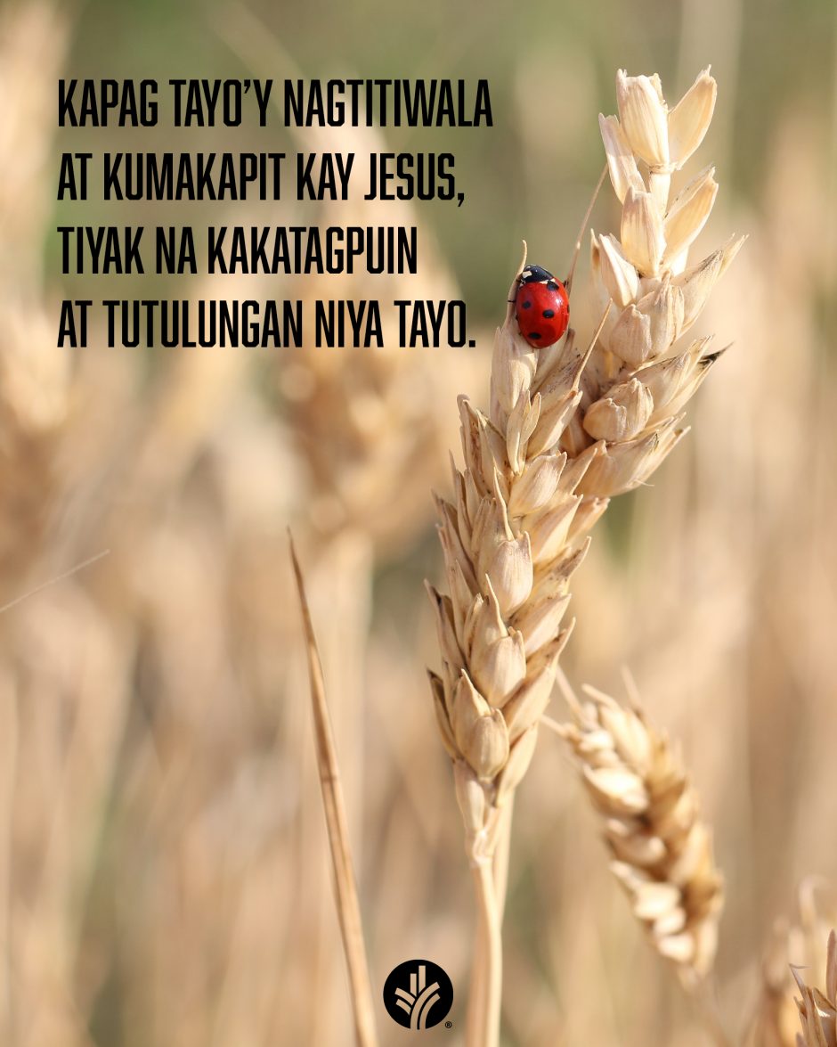 ODB Shareable Image 2025-11-12