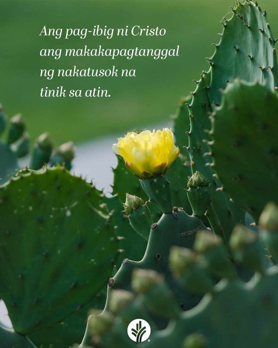 ODB Shareable Image 2025-11-28