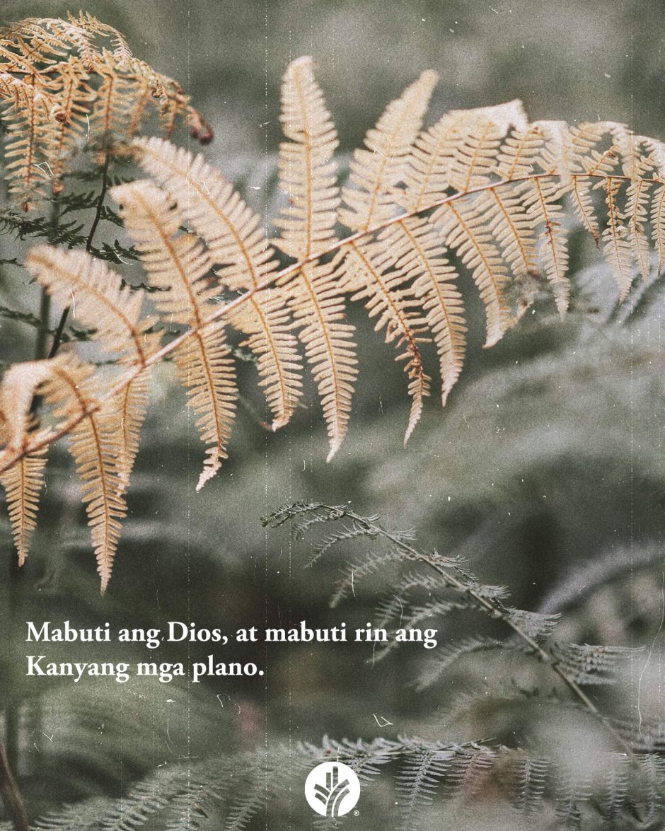 ODB Shareable Image 2026-01-25