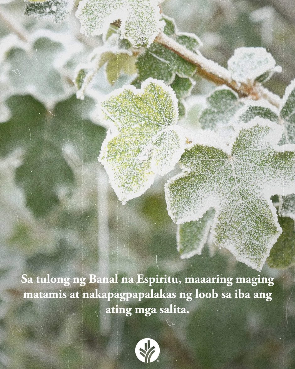 ODB Shareable Image 2026-01-27