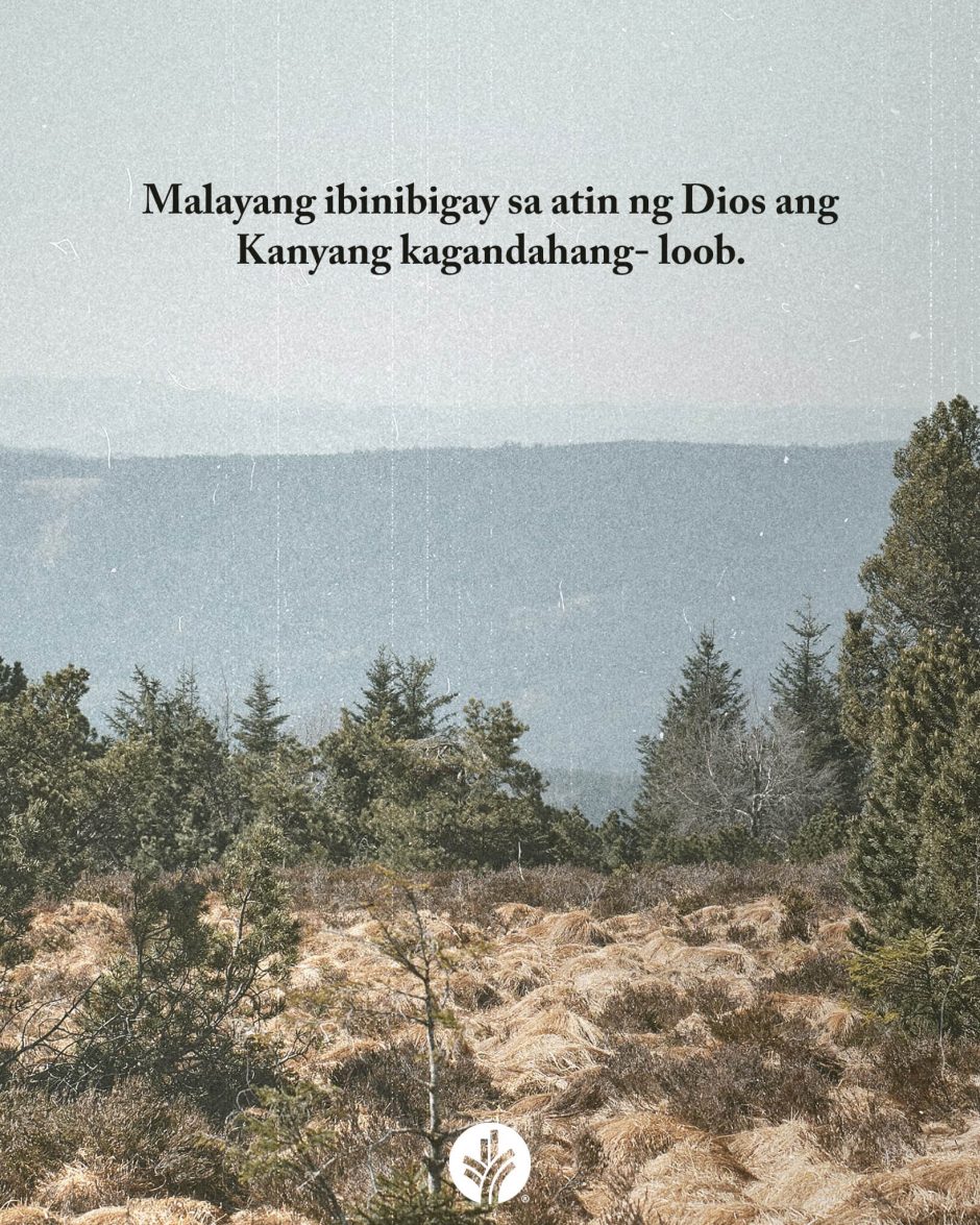 ODB Shareable Image 2026-01-28