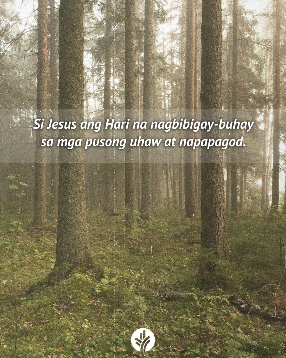 ODB Shareable Image 2026-01-30