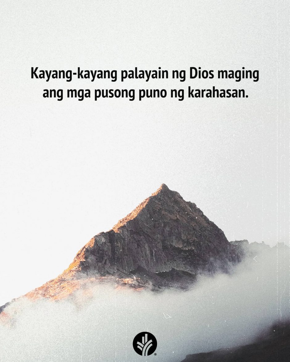 ODB Shareable Image 2026-02-07 ODB Shareable Image 2026-02-07