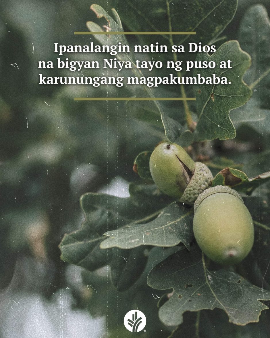 ODB Shareable Image 2026-02-08