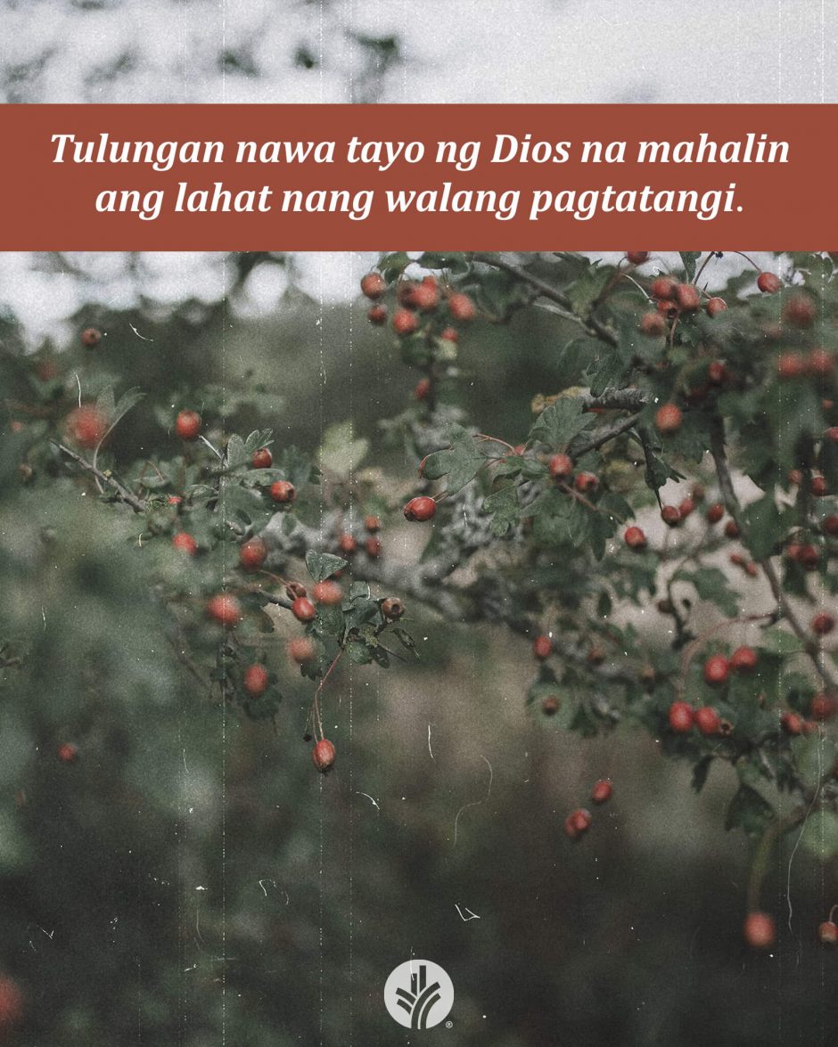 ODB Shareable Image 2026-02-16