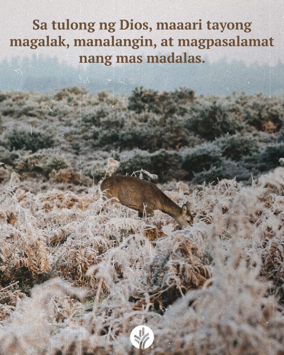 ODB Shareable Image 2026-02-19