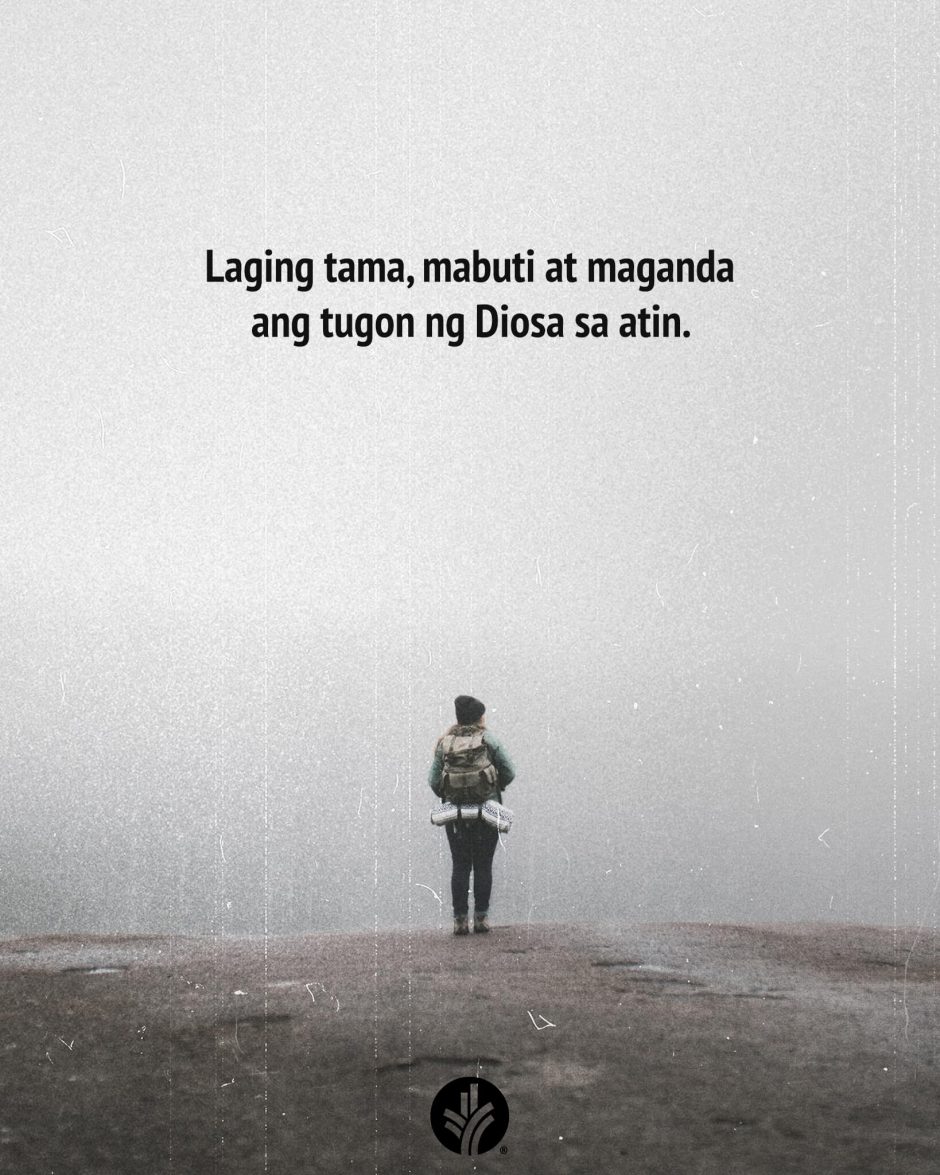 ODB Shareable Image 2026-02-20 ODB Shareable Image 2026-02-20