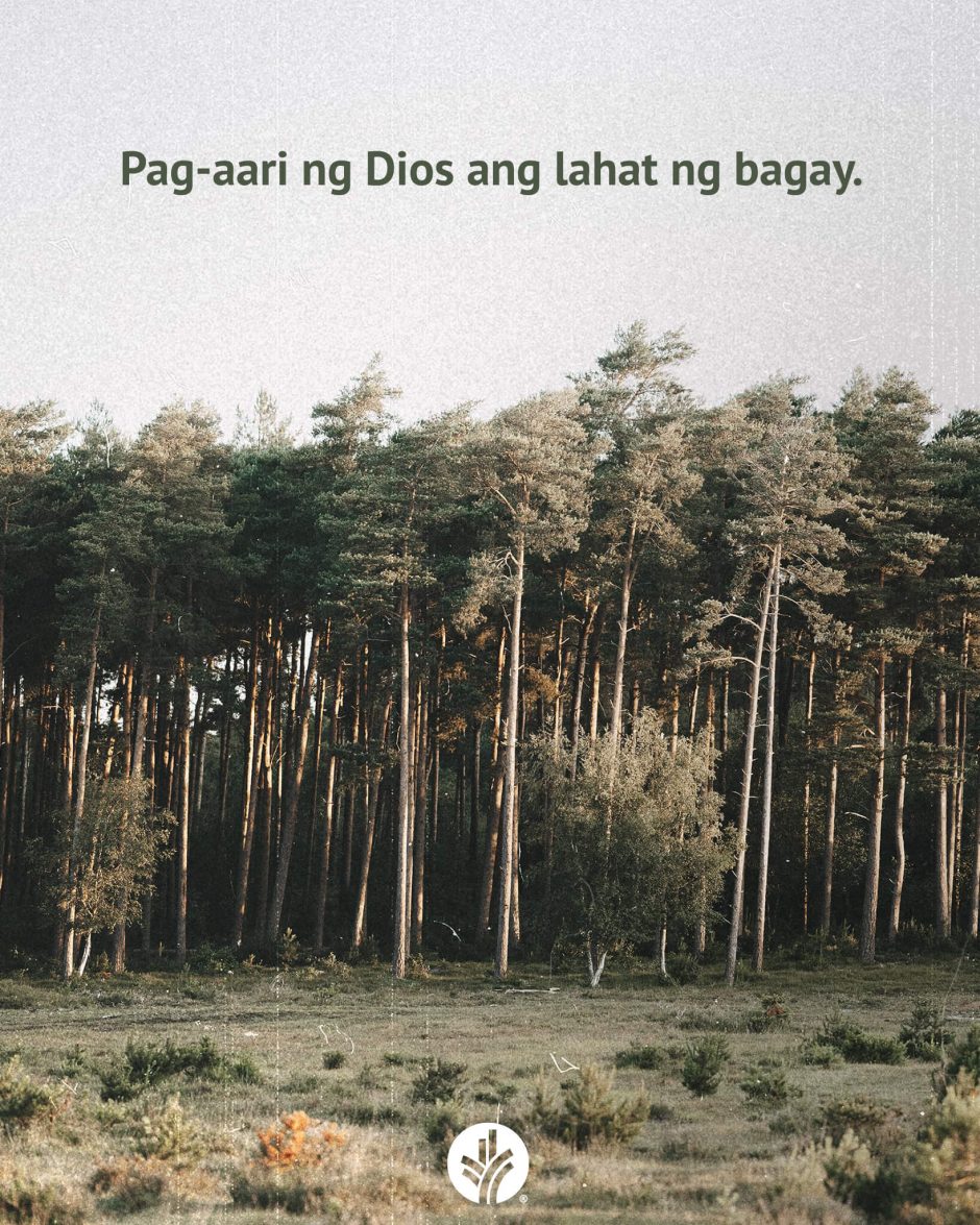 ODB Shareable Image 2026-03-02 ODB Shareable Image 2026-03-02