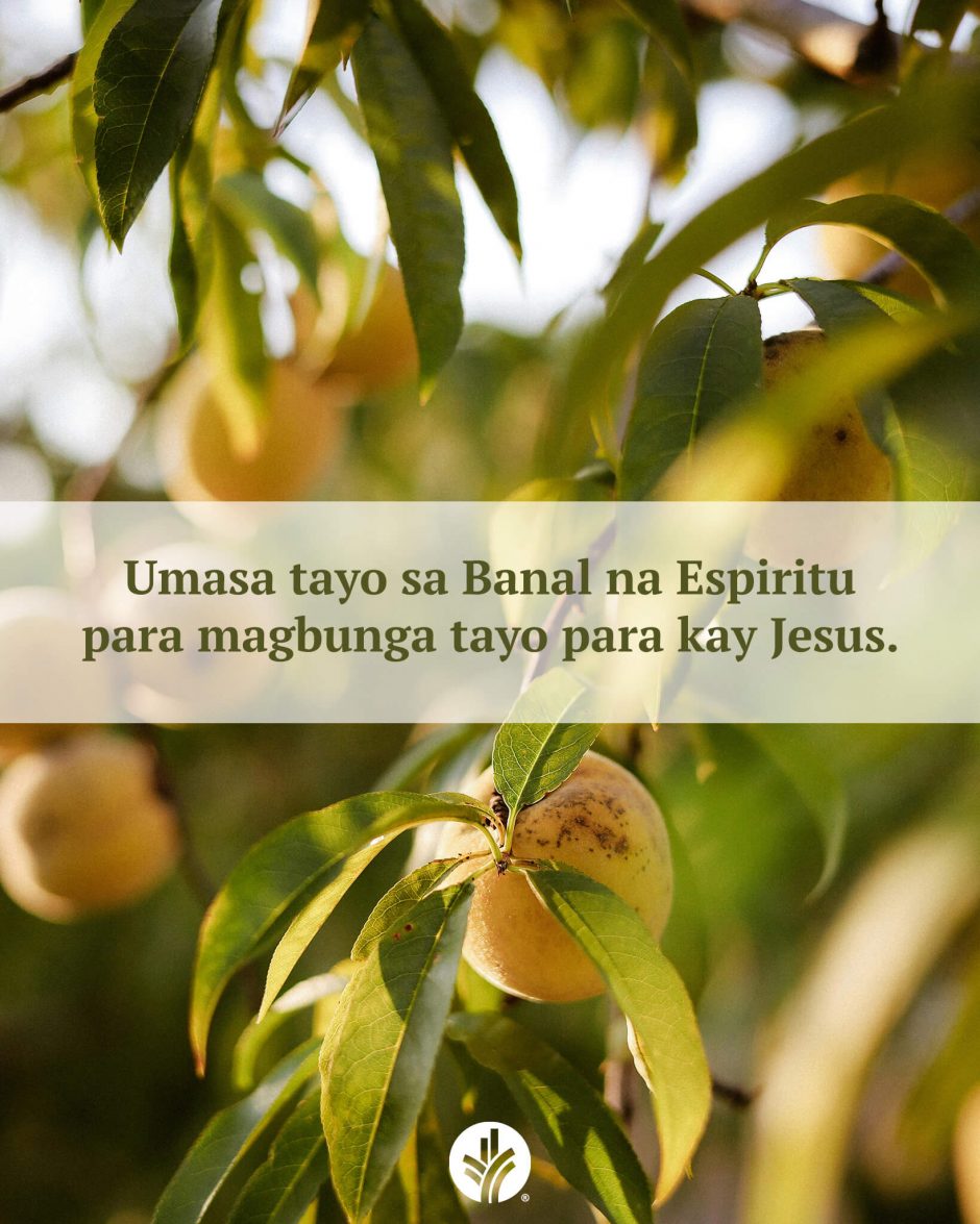 ODB Shareable Image 2026-03-31