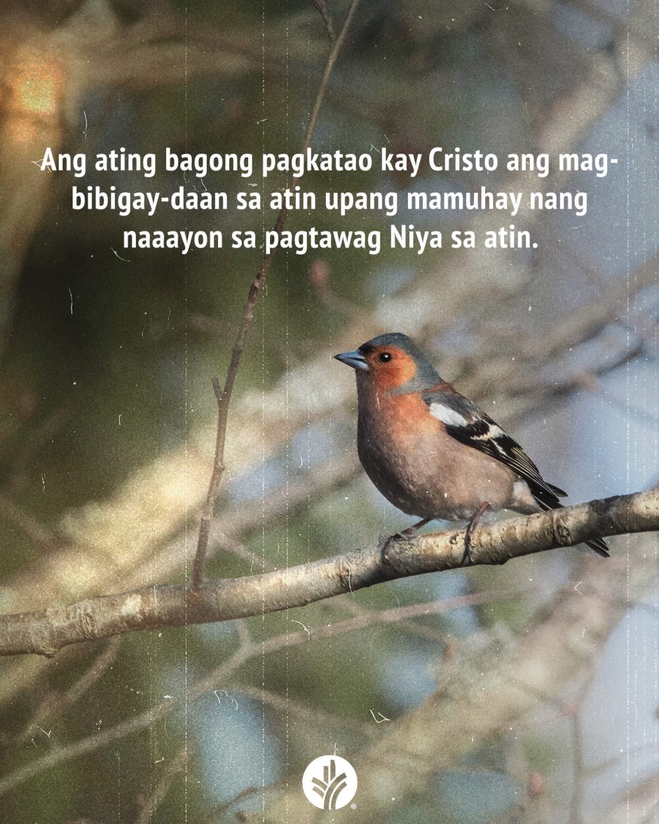 ODB Shareable Image 2026-04-06 ODB Shareable Image 2026-04-06