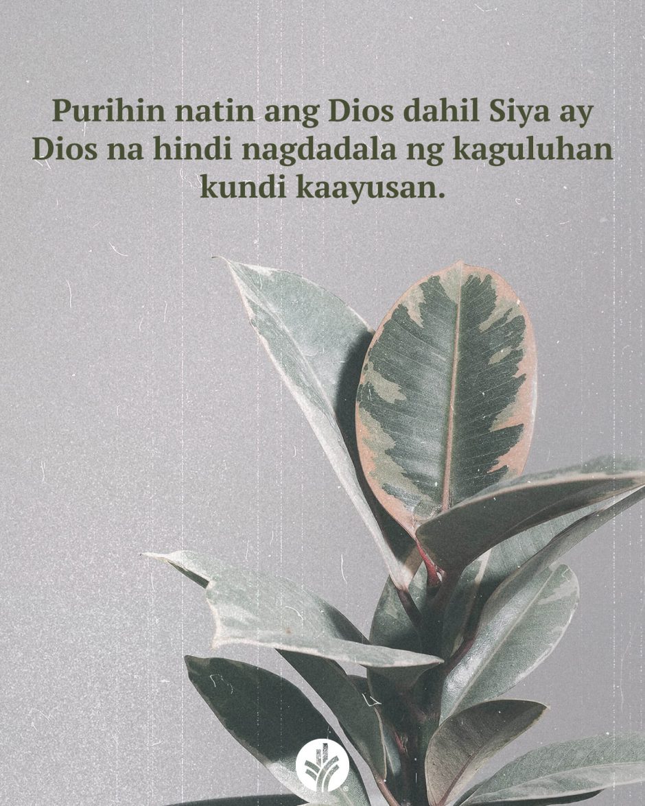 ODB Shareable Image 2026-04-13 ODB Shareable Image 2026-04-13