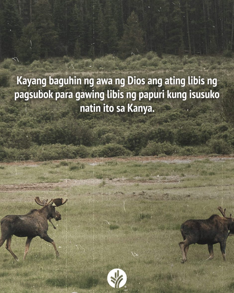 ODB Shareable Image 2026-04-19