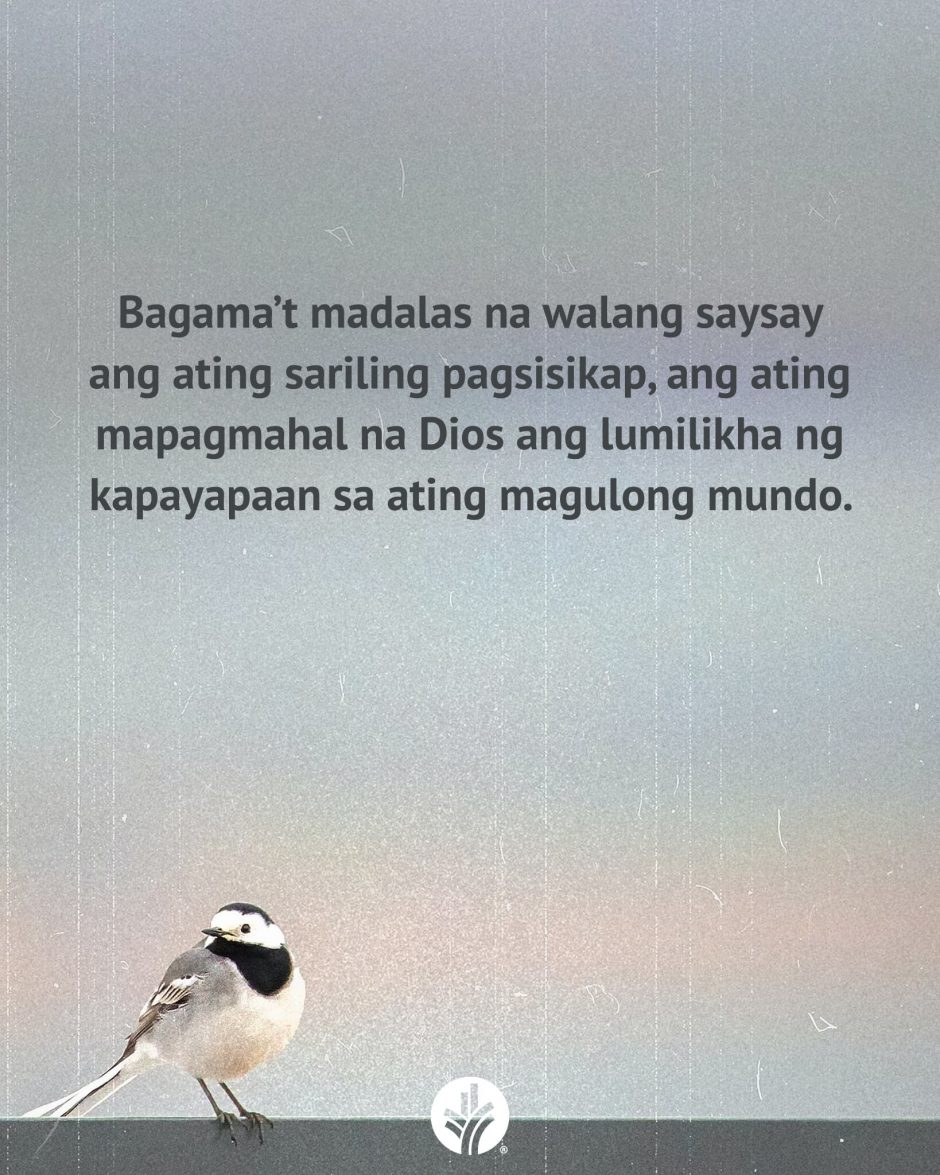 ODB Shareable Image 2026-04-23