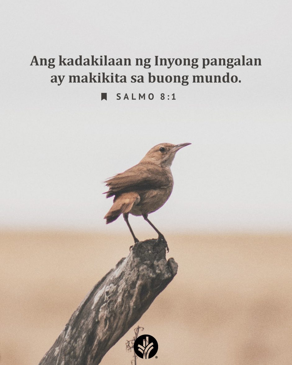 ODB Shareable Image 2026-05-16
